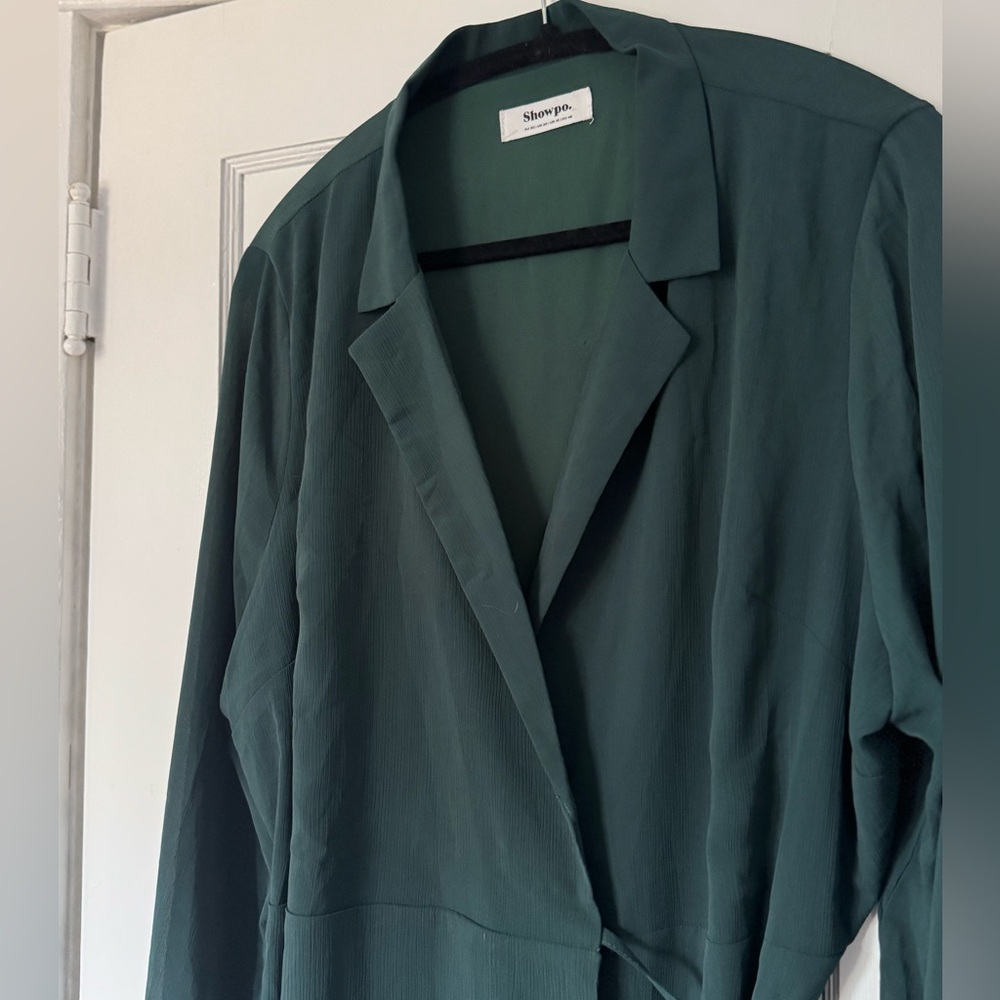 ShowPo Evergreen crossover dress Sz 16 (14)